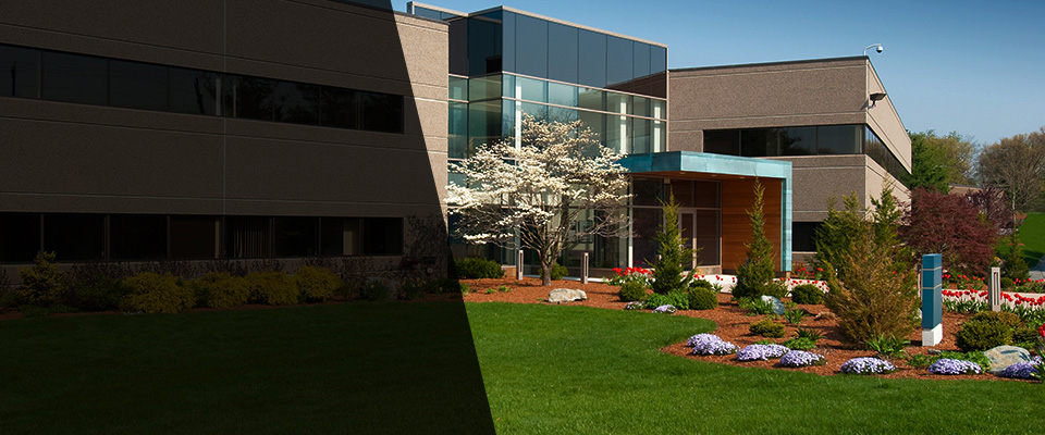 Middle Village Landscapers