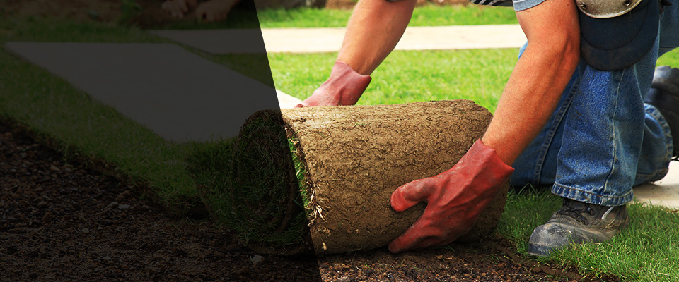 Middle Village Landscapers